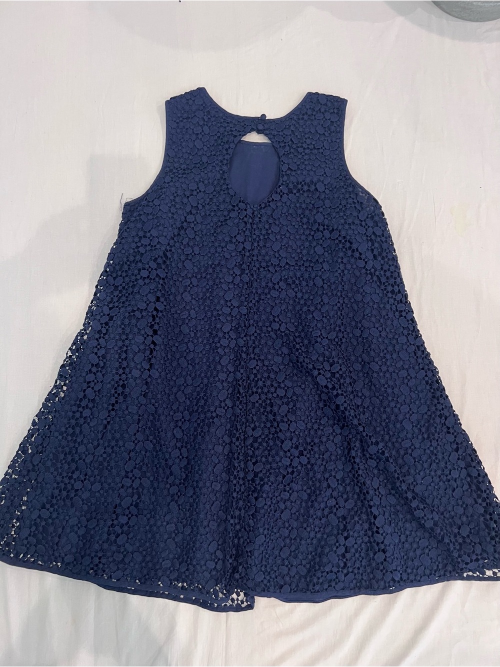 Boden lace blue sleeveless A-line dress.
